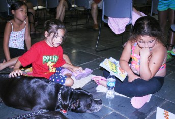 Sweetie Pie listens attentively